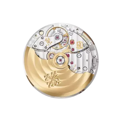 PP Aquanaut 5167R-001